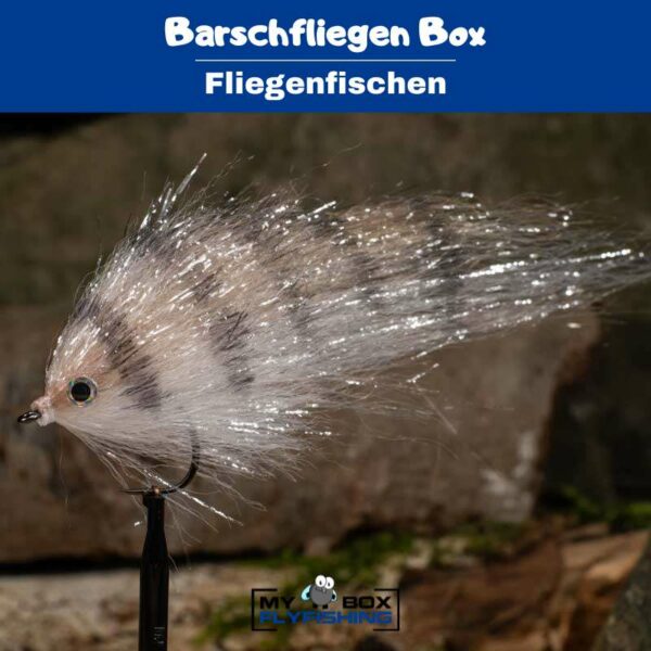 Barschfliegen Box