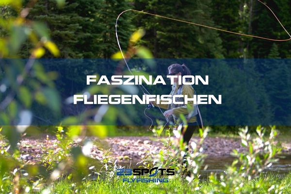 Einsteigerkurs Fliegenfischen