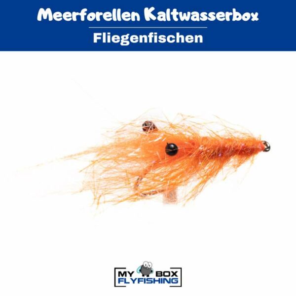 Meerforellenfliegen Kaltwasserbox – Bild 2